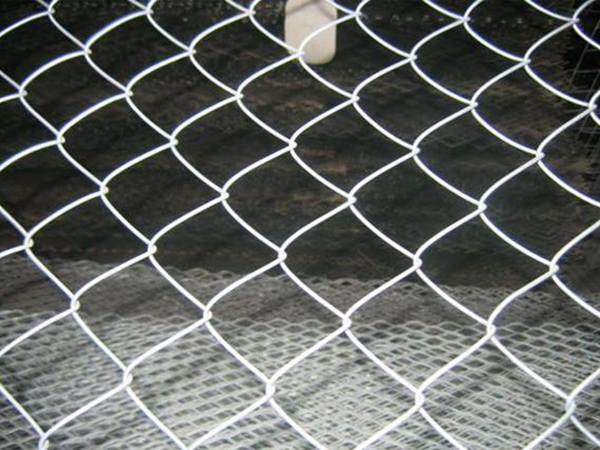 勾花編織圍網(wǎng)圖片2 勾花編織圍網(wǎng)圖片2