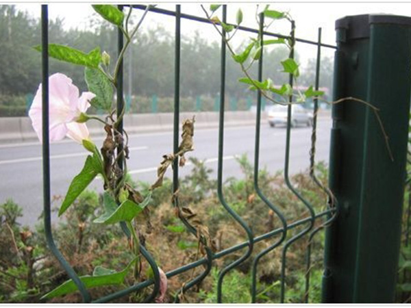 隔離帶護(hù)欄網(wǎng)