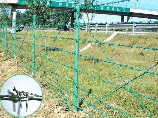 刺繩護(hù)欄網(wǎng)