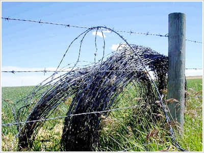 刀片/刺繩護欄網