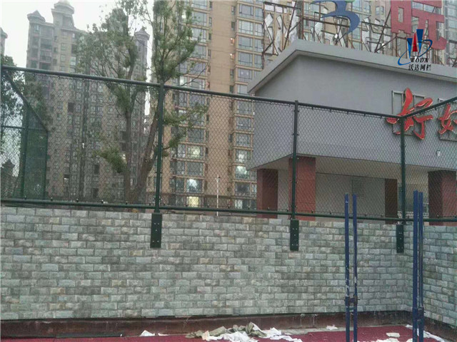安徽皖西當代運動場圍網工程圖片5