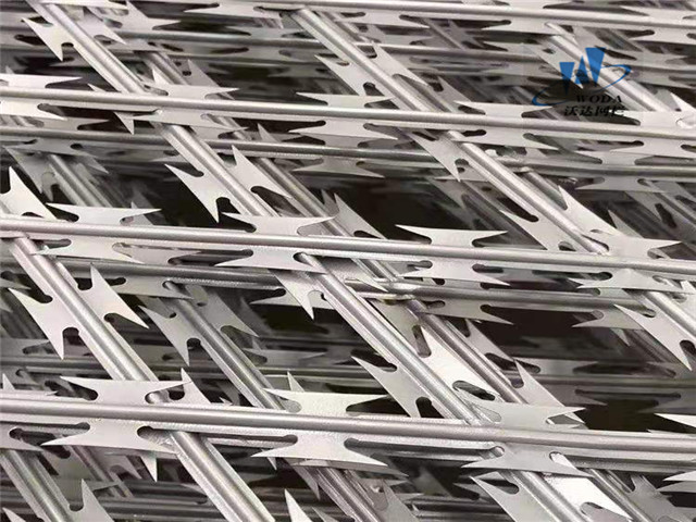 刀片刺網護欄圖片2